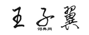駱恆光王子翼行書個性簽名怎么寫