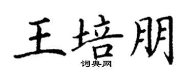 丁謙王培朋楷書個性簽名怎么寫