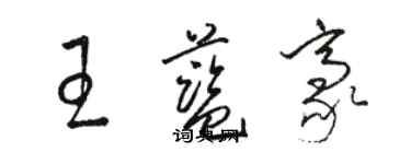 駱恆光王藍豪草書個性簽名怎么寫