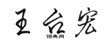 駱恆光王台宏行書個性簽名怎么寫