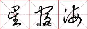 梁錦英星宿海草書怎么寫