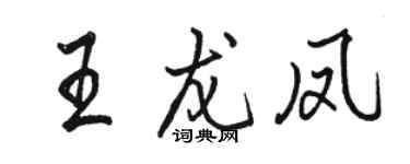駱恆光王龍鳳行書個性簽名怎么寫