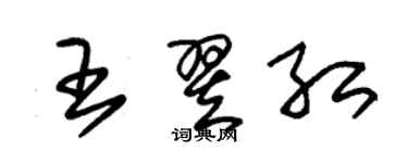 朱錫榮王翌紅草書個性簽名怎么寫