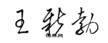駱恆光王新勃草書個性簽名怎么寫