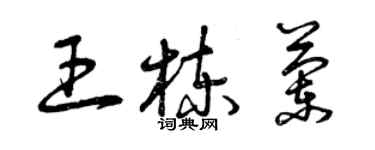 曾慶福王棟蘭草書個性簽名怎么寫