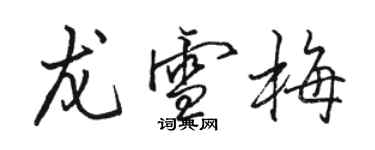 駱恆光龍雪梅行書個性簽名怎么寫