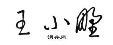 駱恆光王小野草書個性簽名怎么寫