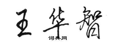 駱恆光王華智行書個性簽名怎么寫