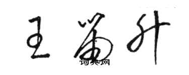 駱恆光王笛升草書個性簽名怎么寫