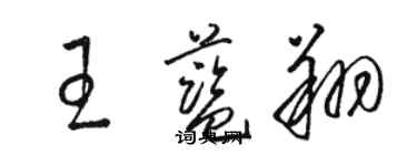 駱恆光王藍翔草書個性簽名怎么寫