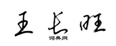 梁錦英王長旺草書個性簽名怎么寫