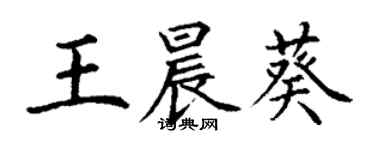 丁謙王晨葵楷書個性簽名怎么寫