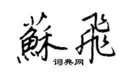 王正良蘇飛行書個性簽名怎么寫