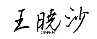 王正良王曉沙行書個性簽名怎么寫