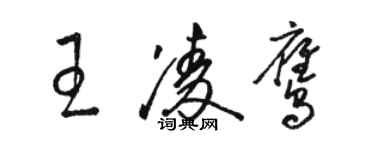 駱恆光王凌鷹草書個性簽名怎么寫