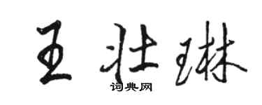 駱恆光王壯琳行書個性簽名怎么寫