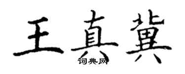 丁謙王真冀楷書個性簽名怎么寫