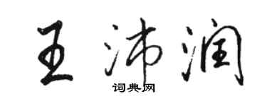 駱恆光王沛潤行書個性簽名怎么寫