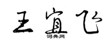 曾慶福王宜飛行書個性簽名怎么寫