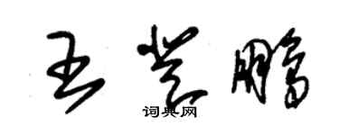 朱錫榮王登鵬草書個性簽名怎么寫