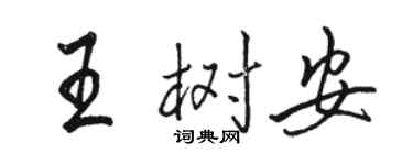 駱恆光王樹安行書個性簽名怎么寫