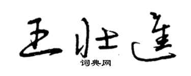 曾慶福王壯進草書個性簽名怎么寫
