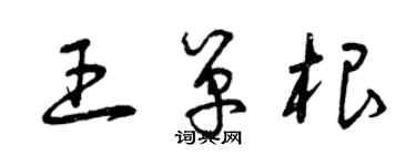 曾慶福王單根草書個性簽名怎么寫