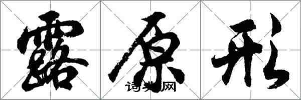 胡問遂露原形行書怎么寫