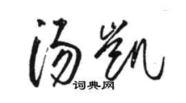 駱恆光湯凱草書個性簽名怎么寫