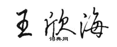 駱恆光王欣海行書個性簽名怎么寫