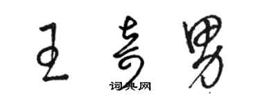 駱恆光王奇男草書個性簽名怎么寫