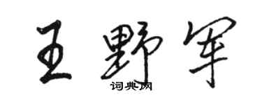 駱恆光王野軍行書個性簽名怎么寫