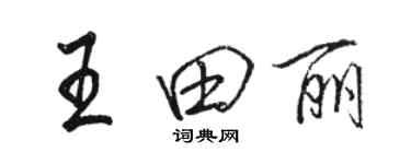 駱恆光王田麗行書個性簽名怎么寫