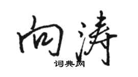 駱恆光向濤行書個性簽名怎么寫