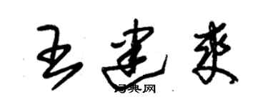 朱錫榮王建爽草書個性簽名怎么寫