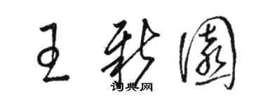 駱恆光王新園草書個性簽名怎么寫