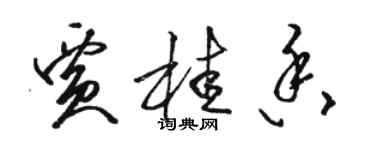 駱恆光賈桂香草書個性簽名怎么寫