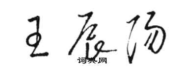 駱恆光王辰陽草書個性簽名怎么寫