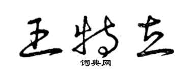 曾慶福王特立草書個性簽名怎么寫