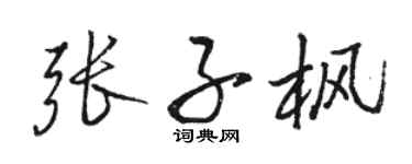 駱恆光張子楓行書個性簽名怎么寫