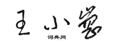 駱恆光王小崗草書個性簽名怎么寫