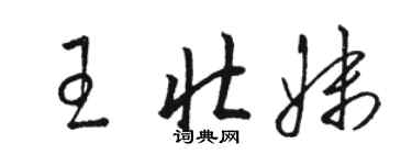 駱恆光王壯妹草書個性簽名怎么寫