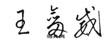 駱恆光王劍威草書個性簽名怎么寫