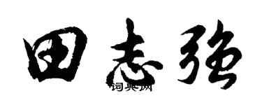 胡問遂田志強行書個性簽名怎么寫