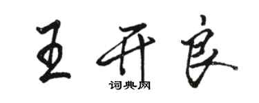 駱恆光王開良行書個性簽名怎么寫