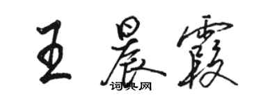 駱恆光王晨霞行書個性簽名怎么寫