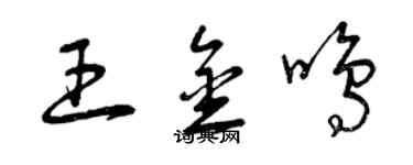 曾慶福王金鳴草書個性簽名怎么寫