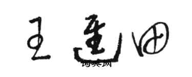 駱恆光王進田草書個性簽名怎么寫