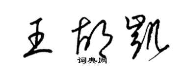 梁錦英王胡凱草書個性簽名怎么寫