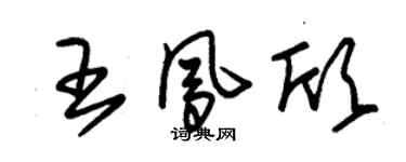 朱錫榮王鳳欣草書個性簽名怎么寫